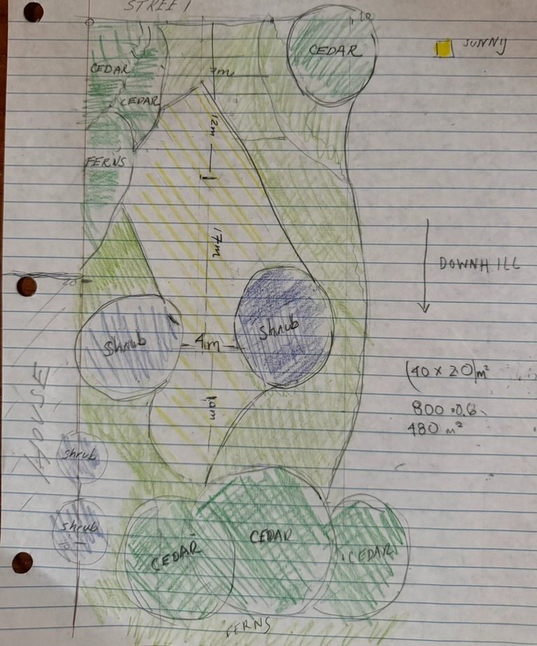 Hand-drawn original site survey sketch of the lot, showing the cedar ring and the sunlit diagonal strip